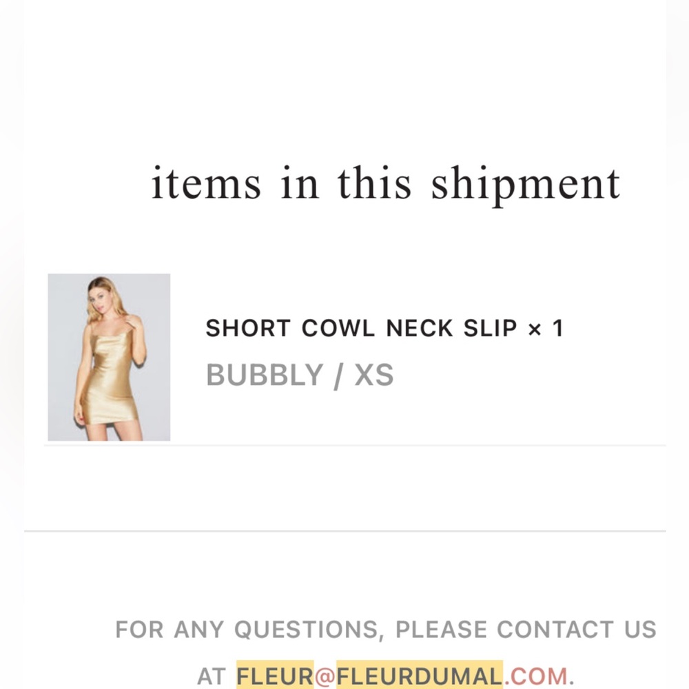 Fleur du Mal slip/dress